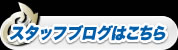 スタッフブログ